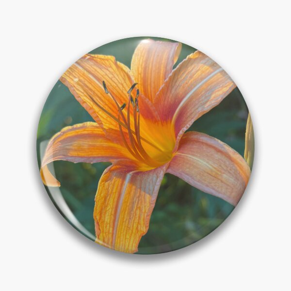 Item preview, Flower photo designed and sold by Aud’s Art Shop.