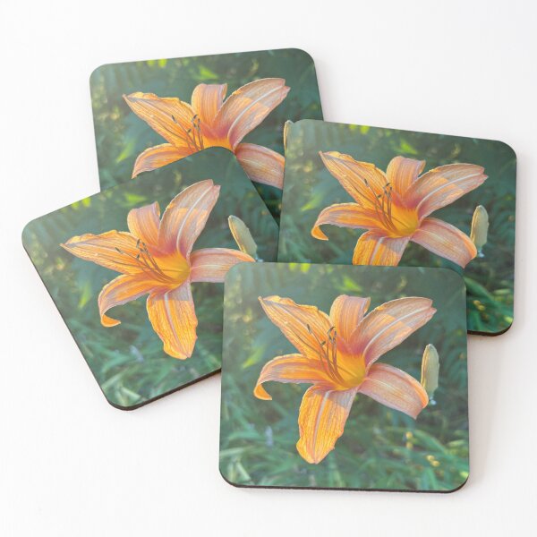 Item preview, Flower photo designed and sold by Aud’s Art Shop.