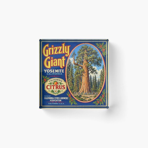 Item preview, Grizzly Giant Yosemite Vintage California Sequoia designed and sold by Grove of Things.