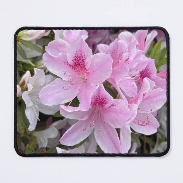 Item preview, Pink flowers designed and sold by Aud’s Art Shop.
