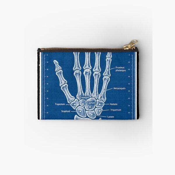 Item preview, Anatomy - Hand Bones Blueprint - Physical Therapy Sticker designed and sold by isokinetic.