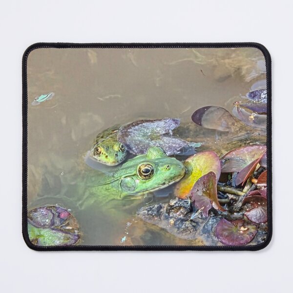 Item preview, Momma and baby frog designed and sold by SamanthaDawn94.