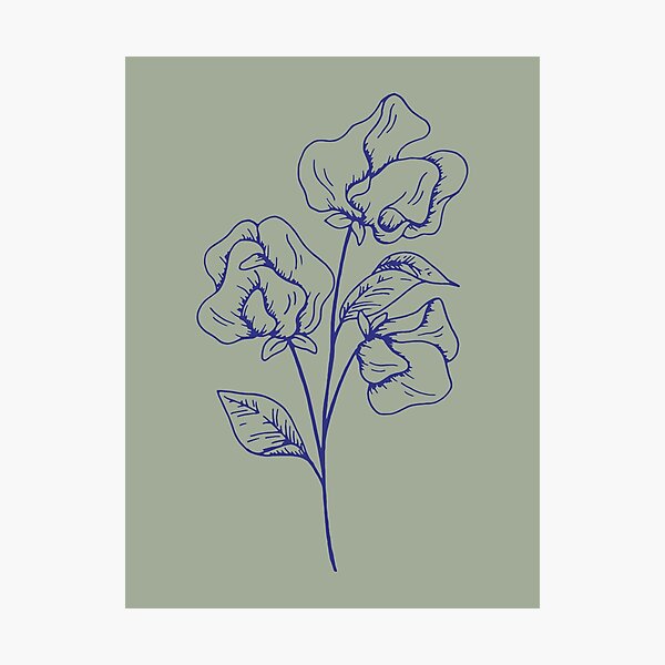 Item preview, Butterfly Pea Flower On Olive designed and sold by lifeinspired4u.