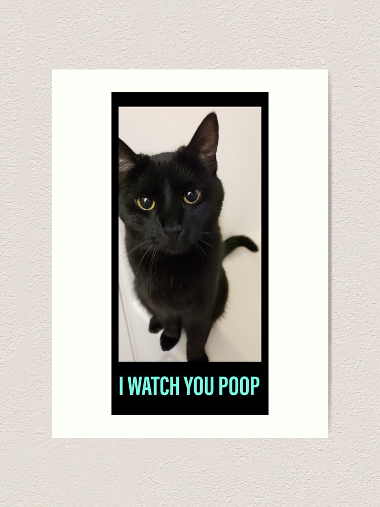Impression Artistique Chat Noir Je Te Regarde Caca Humour Par Photogooroo Redbubble