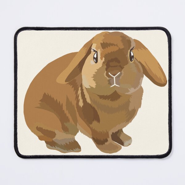 Item preview, Holland Lop Orange Rabbit Illustration designed and sold by tayaan.