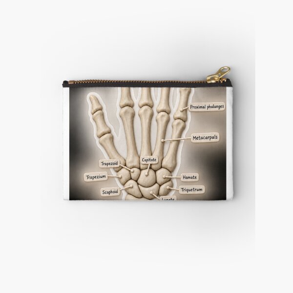 Item preview, Anatomy - Hand Bones Claymation - Physical Therapy Sticker designed and sold by isokinetic.