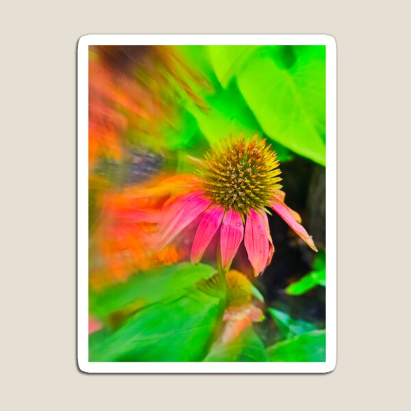 Item preview, Coneflower Macro Radial Lens Shot 2 designed and sold by KaleidoscopeMeg.