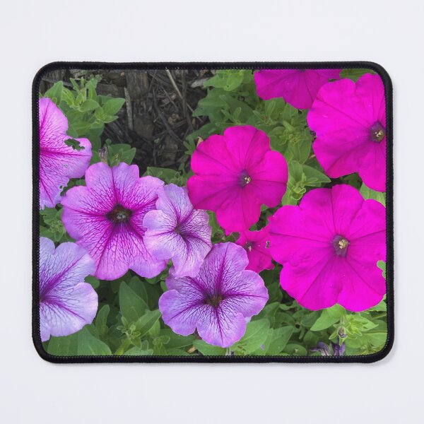 Item preview, Pink and Purple Petunias designed and sold by Amanda1775.