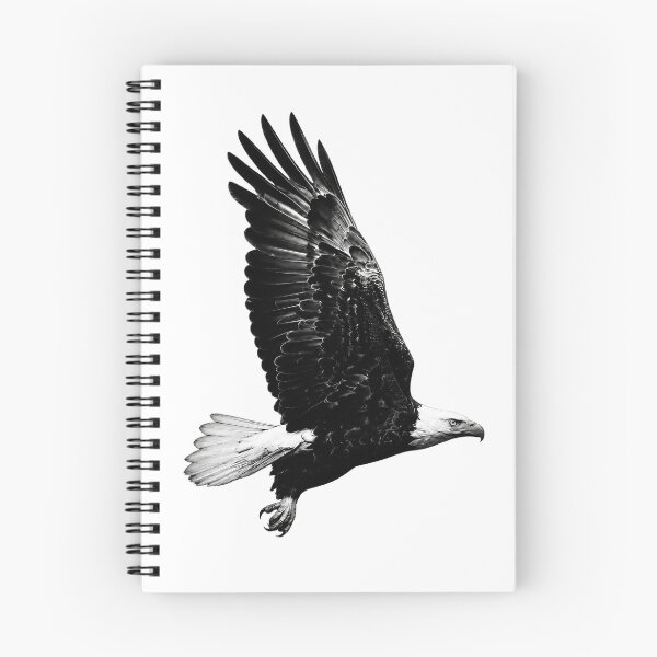 Item preview, Black and White Bald Eagle in Flight designed and sold by Michael J Design.