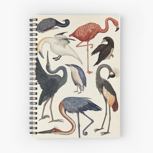 Item preview, Vintage Bird Engraving: Antique Botanical Ornithology Hatching Silhouette and Wild Birds Fan Art Poster designed and sold by benja-08.