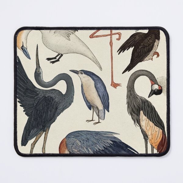 Item preview, Vintage Bird Engraving: Antique Botanical Ornithology Hatching Silhouette and Wild Birds Fan Art Poster designed and sold by benja-08.