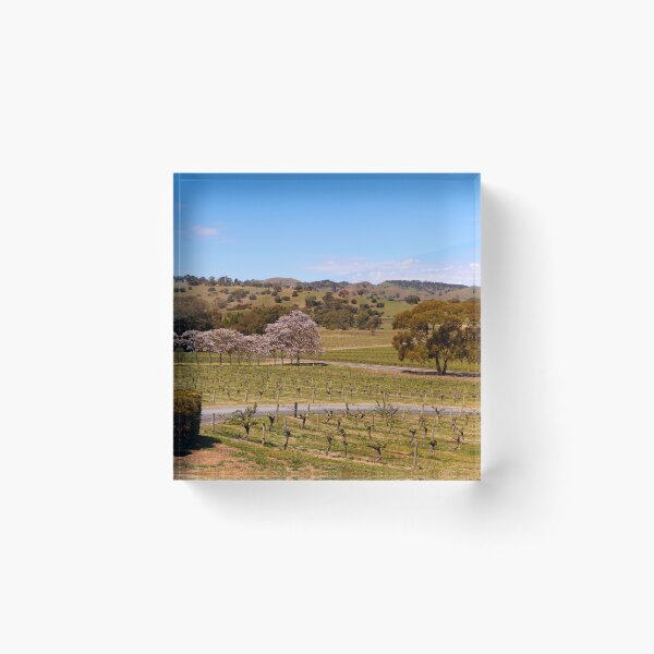 Item preview, Springtime among the vines in the Barossa Valley designed and sold by jwwallace.