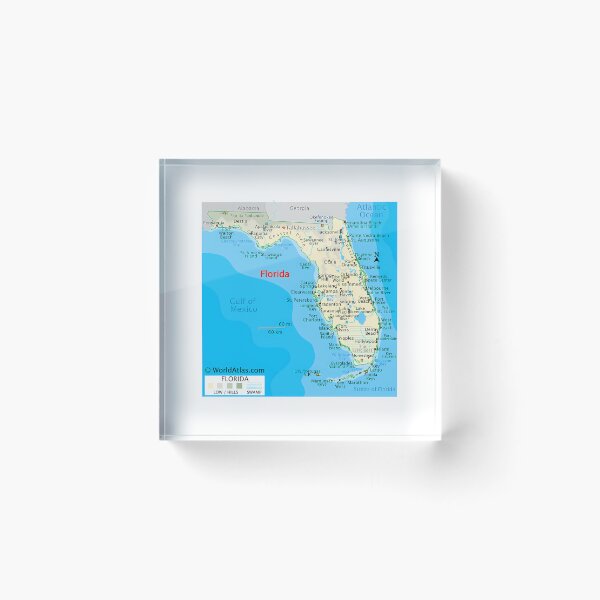 Item preview, Florida Map  Cities Coast  Natural Features designed and sold by ak-edabillard.
