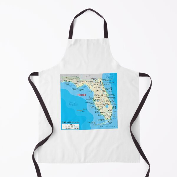 Item preview, Florida Map Cities Coast Natural Features designed and sold by ak-edabillard.