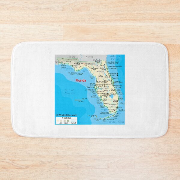 Item preview, Florida Map  Cities Coast  Natural Features designed and sold by ak-edabillard.