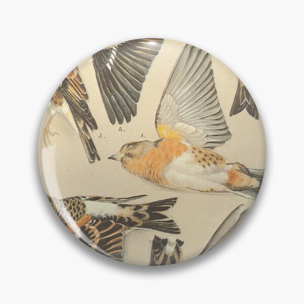 Item preview, Vintage Bird Engraving: Antique Botanical Ornithology Hatching Silhouette and Wild Birds Fan Art Poster designed and sold by benja-08.