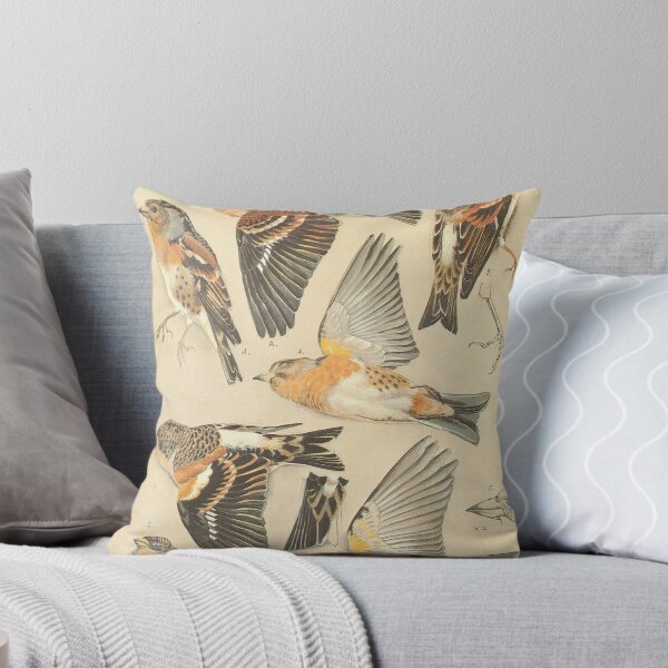 Item preview, Vintage Bird Engraving: Antique Botanical Ornithology Hatching Silhouette and Wild Birds Fan Art Poster designed and sold by benja-08.