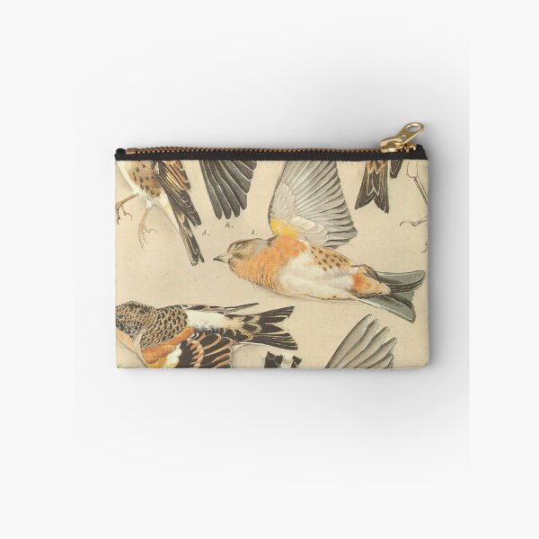 Item preview, Vintage Bird Engraving: Antique Botanical Ornithology Hatching Silhouette and Wild Birds Fan Art Poster designed and sold by benja-08.