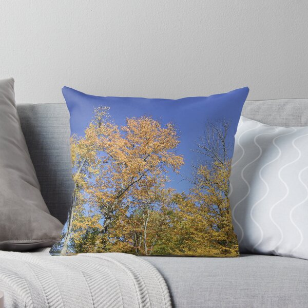 Item preview, Colorful Autumn Trees  designed and sold by kcschweizer.