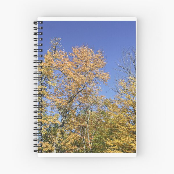 Item preview, Colorful Autumn Trees  designed and sold by kcschweizer.
