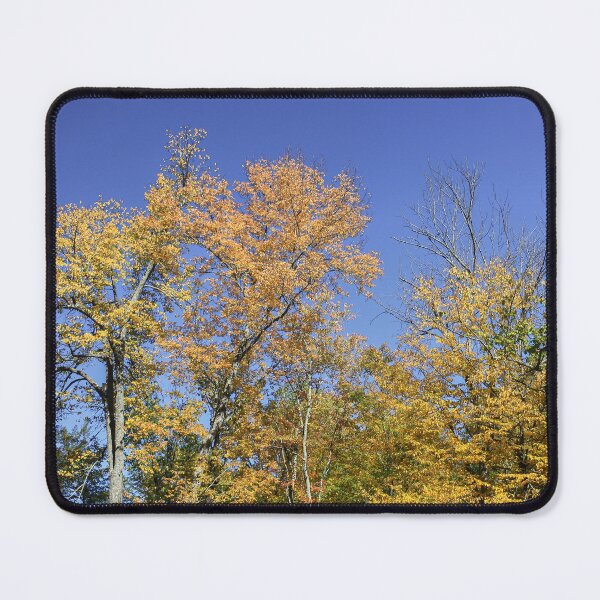 Item preview, Colorful Autumn Trees designed and sold by kcschweizer.