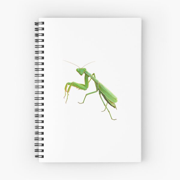 Item preview, Praying Mantis  designed and sold by Deb's Designs.