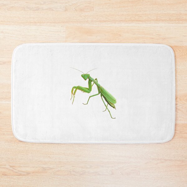 Item preview, Praying Mantis  designed and sold by Deb's Designs.