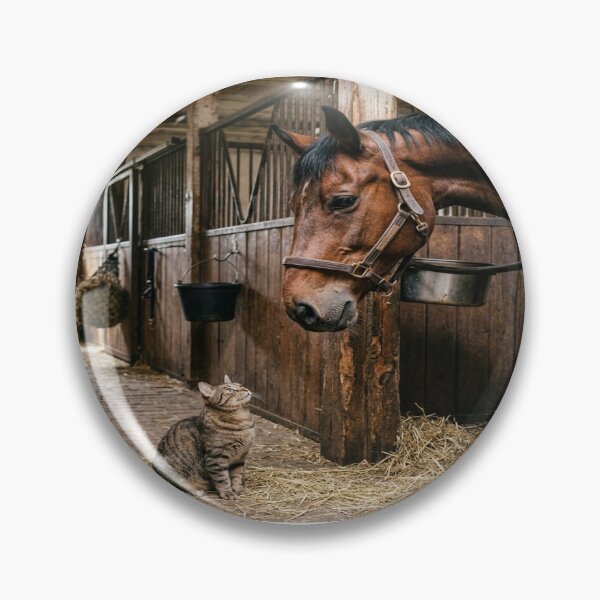 Item preview, Tabby Cat Greeted by Horse in Stable designed and sold by Solomon-Ent-144.
