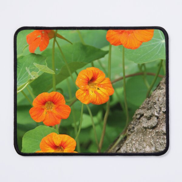 Item preview, Blossoms of Orange designed and sold by Dead Parrot Technology.