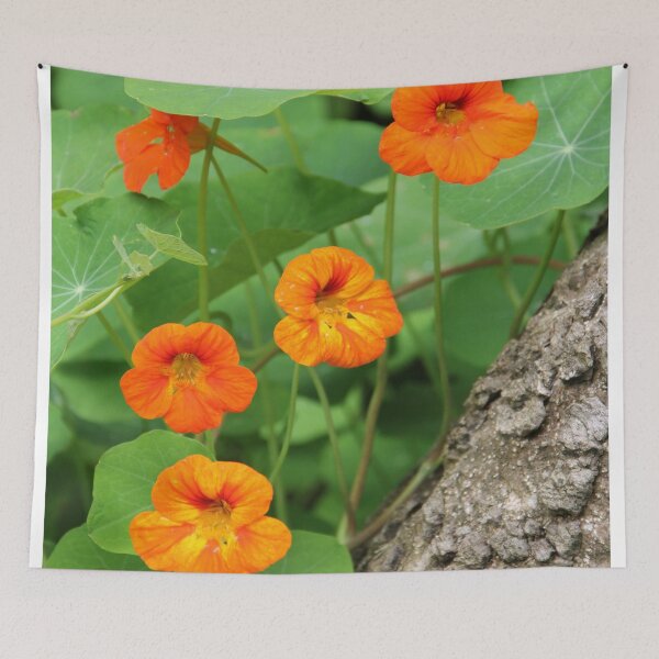 Item preview, Blossoms of Orange designed and sold by Dead Parrot Technology.