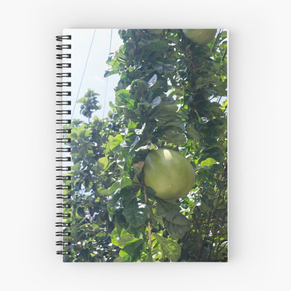 Item preview, Miracle Fruit designed and sold by ROSE ANN BANILAR.