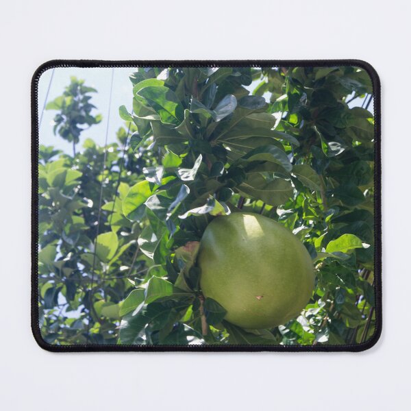 Item preview, Miracle Fruit designed and sold by ROSE ANN BANILAR.