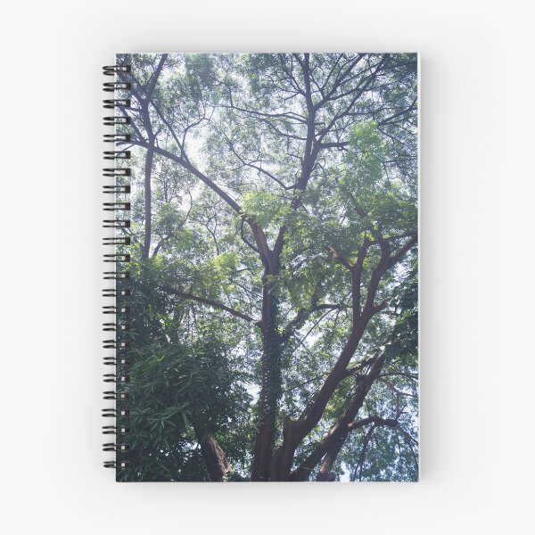 Item preview, Rain Tree designed and sold by ROSE ANN BANILAR.