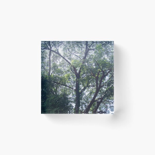Item preview, Rain Tree designed and sold by ROSE ANN BANILAR.