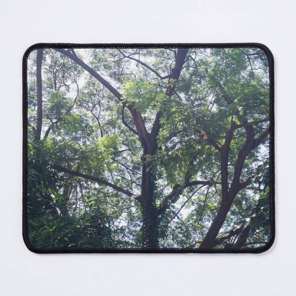 Item preview, Rain Tree designed and sold by ROSE ANN BANILAR.