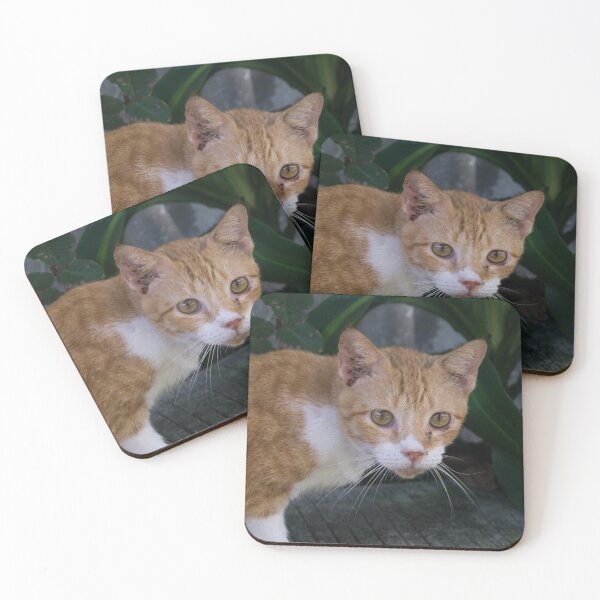 Item preview, Domestic Shorthair designed and sold by ROSE ANN BANILAR.