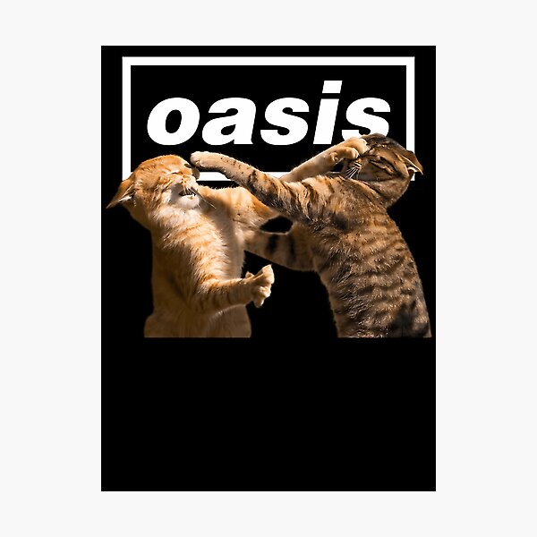 Item preview, 5 Oasis Gallagher Kitties designed and sold by EldritchVoide.