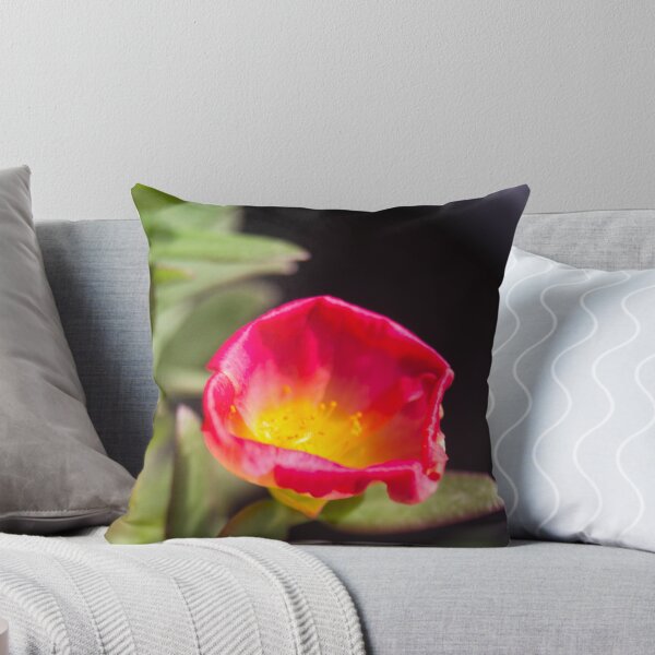 Item preview, Purslane or Moss Rose designed and sold by ROSE ANN BANILAR.