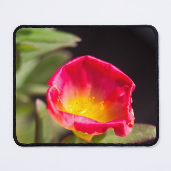 Item preview, Purslane or Moss Rose designed and sold by ROSE ANN BANILAR.