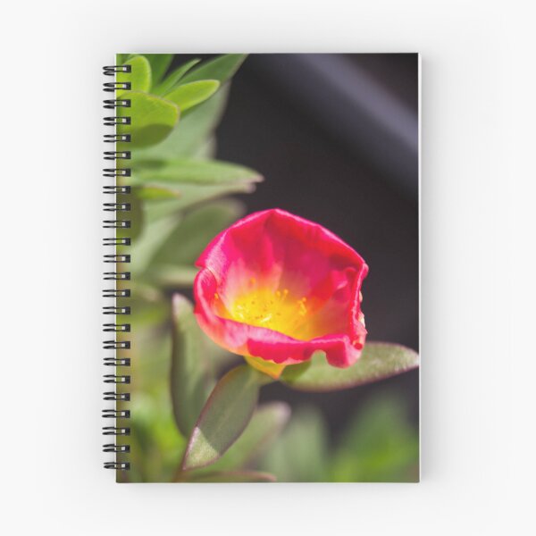 Item preview, Purslane or Moss Rose designed and sold by ROSE ANN BANILAR.