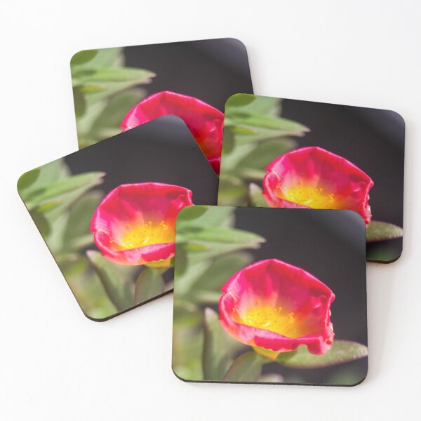 Item preview, Purslane or Moss Rose designed and sold by ROSE ANN BANILAR.