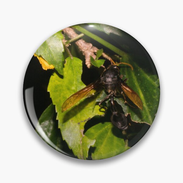 Item preview, Philippine Black Potter Wasp designed and sold by ROSE ANN BANILAR.