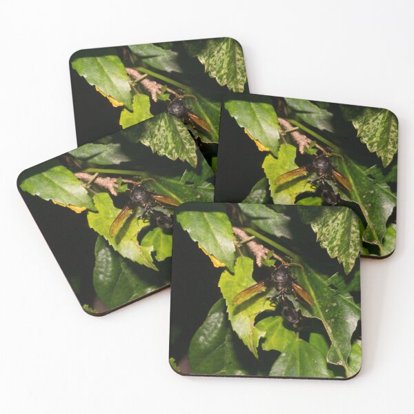 Item preview, Philippine Black Potter Wasp designed and sold by ROSE ANN BANILAR.