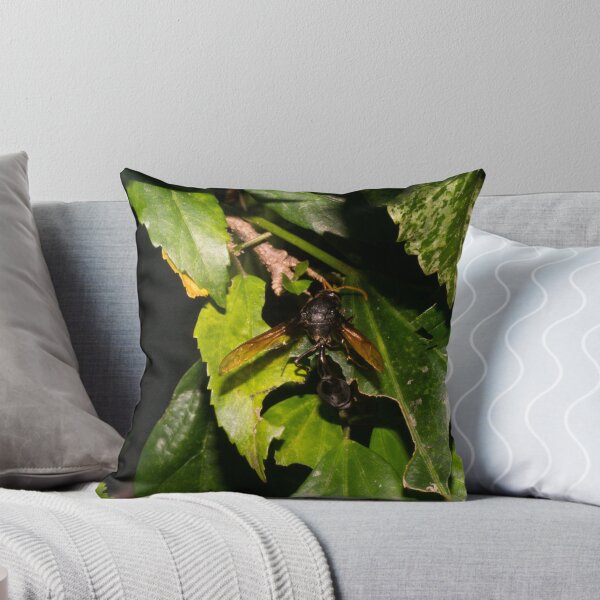 Item preview, Philippine Black Potter Wasp designed and sold by ROSE ANN BANILAR.