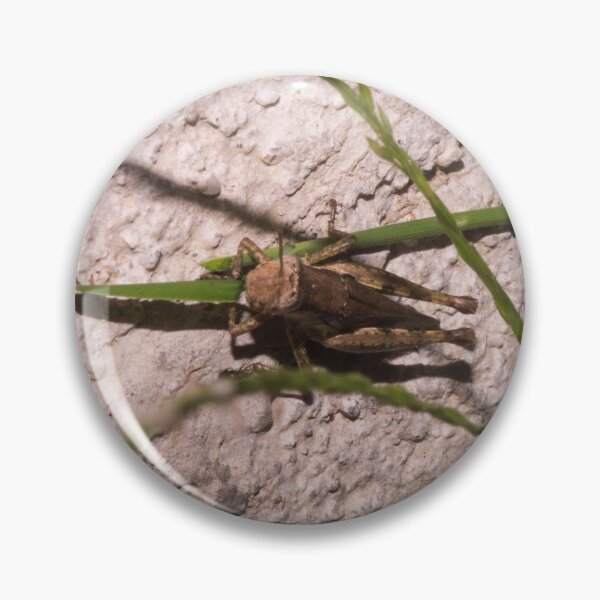 Item preview, Brown Grasshopper designed and sold by ROSE ANN BANILAR.