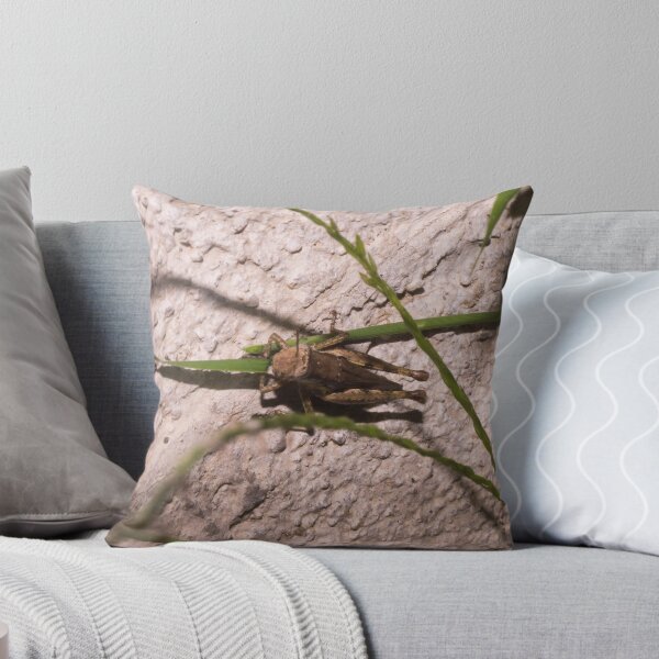 Item preview, Brown Grasshopper designed and sold by ROSE ANN BANILAR.