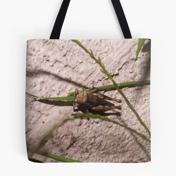 Item preview, Brown Grasshopper designed and sold by ROSE ANN BANILAR.