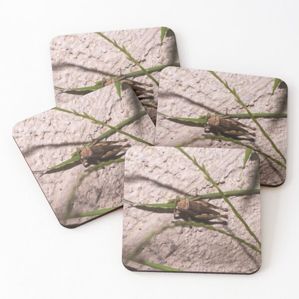 Item preview, Brown Grasshopper designed and sold by ROSE ANN BANILAR.
