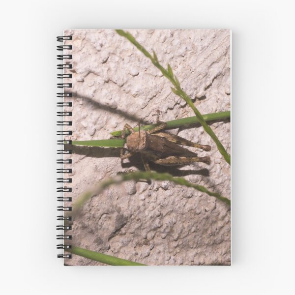 Item preview, Brown Grasshopper designed and sold by ROSE ANN BANILAR.