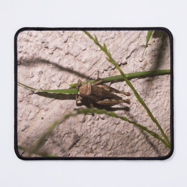 Item preview, Brown Grasshopper designed and sold by ROSE ANN BANILAR.